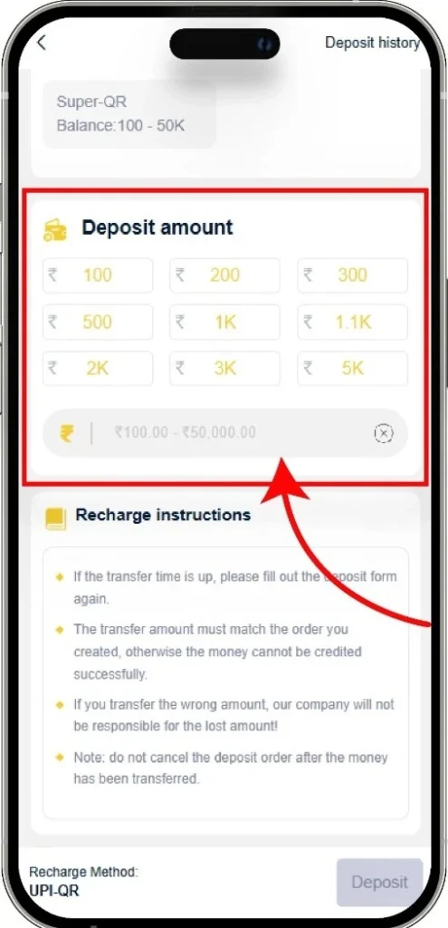Step 4: Enter the Amount.